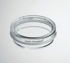 德國艾本德(Eppendorf)Cell Culture Dishes, 35 mm, 無菌、無熱原，無 RNase和DNase，無人類和細菌DNA。無細胞毒素, 未處理, 3.0mL, 300個